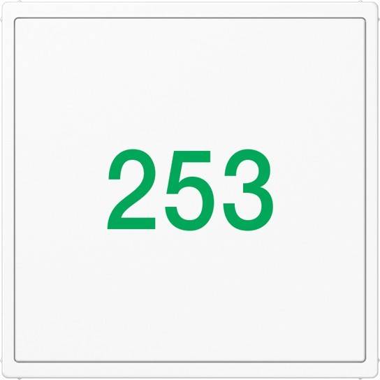 Jung Glasabdeckung A CU KO6 TX WW