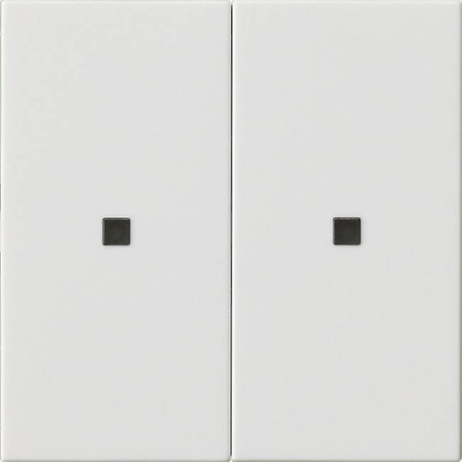 Gira Wippe 2f. 536903