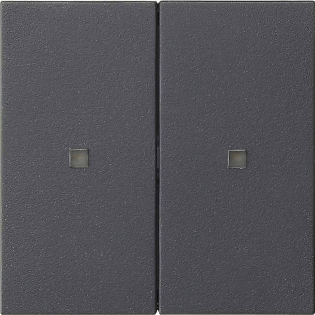 Gira Wippe 2f. 536928