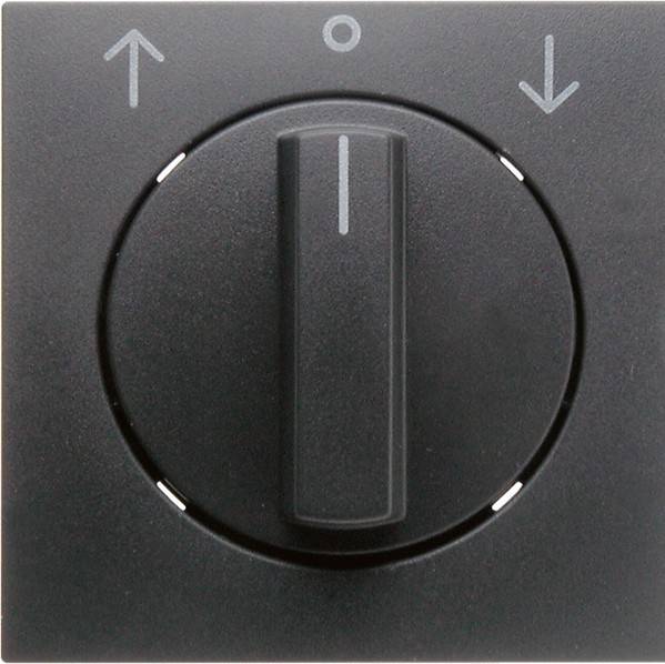 Berker Zentralstück mit Drehknopf 1080160600