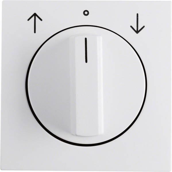 Berker Zentralstück mit Drehknopf 1080190900