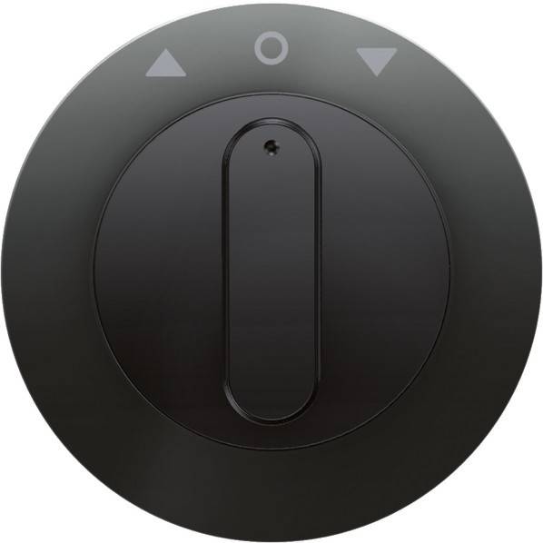 Berker Zentralstück mit Drehknopf 1080204500