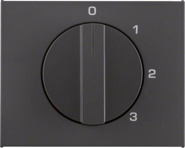 Berker Zentralstück mit Drehknopf 1087710600