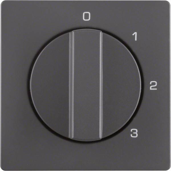 Berker Zentralstück mit Drehknopf 1096608600