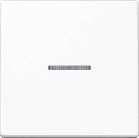 10 Stück Jung Wippe A101KO5BFWW