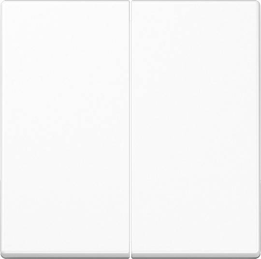 10 Stück Jung Wippe A102BFWW