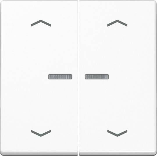 10 Stück Jung Wippe A102KO5PBFWW