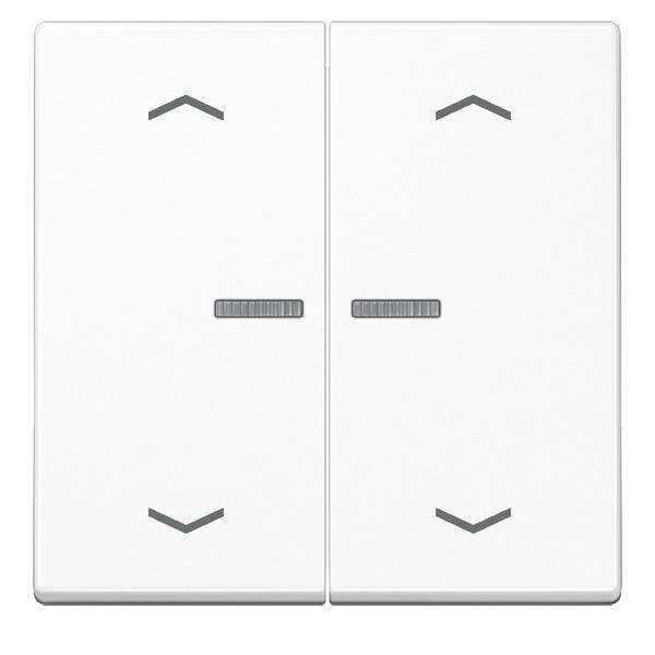 10 Stück Jung Wippe A102KO5PWW