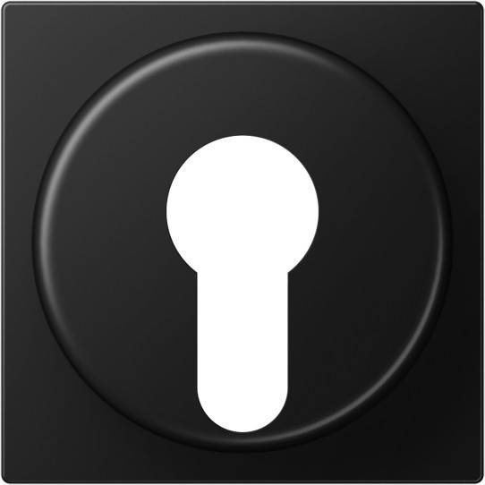 10 Stück Jung Abdeckung A528PLSWM