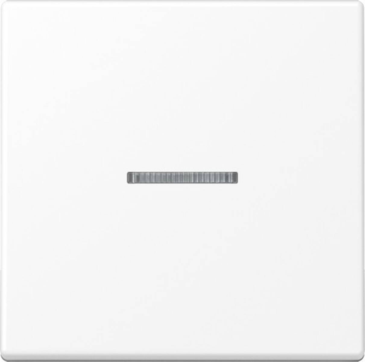 Jung Wippe A590KO5WWM