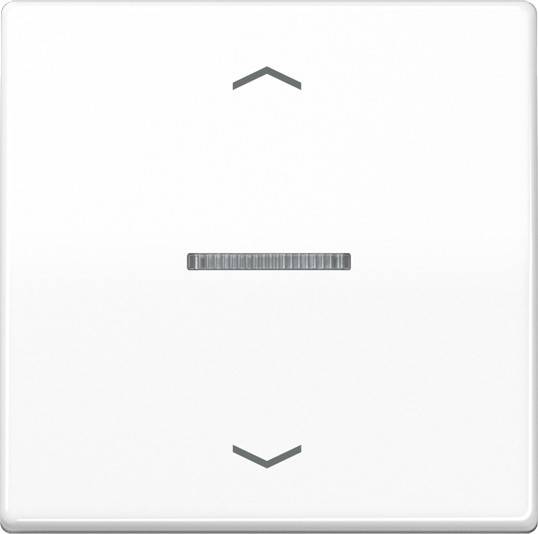 10 Stück Jung Wippe AS101KO5PWW