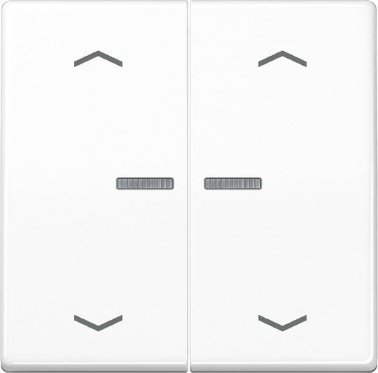 10 Stück Jung Wippe AS102KO5PWW