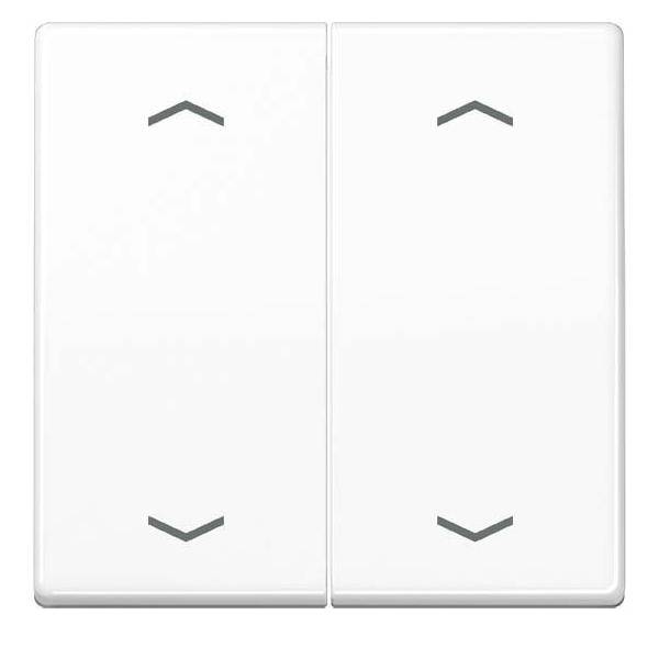 10 Stück Jung Wippe AS102PWW