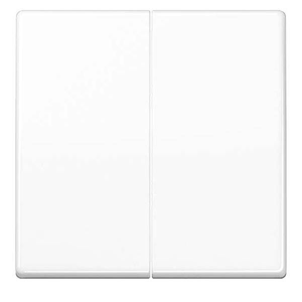 10 Stück Jung Wippe AS102WW