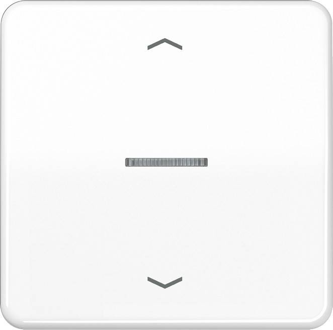 10 Stück Jung Wippe CD101KO5PWW