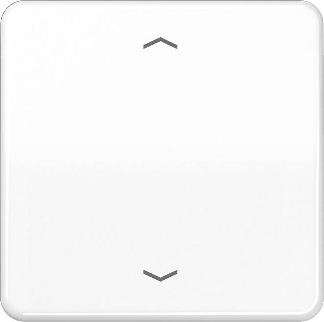 Jung Steuertaste Standard CD 1700 P WW