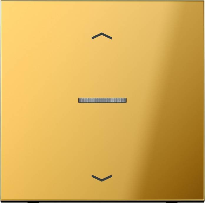 10 Stück Jung Wippe GO101KO5P