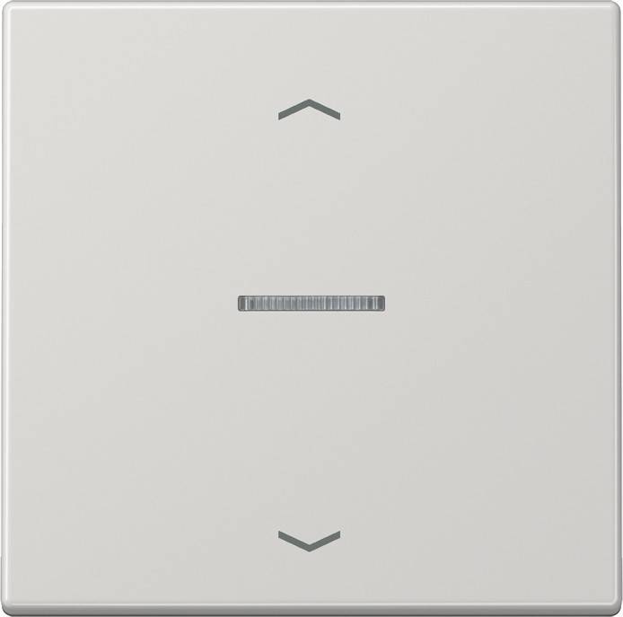 10 Stück Jung Wippe LS101KO5PLG