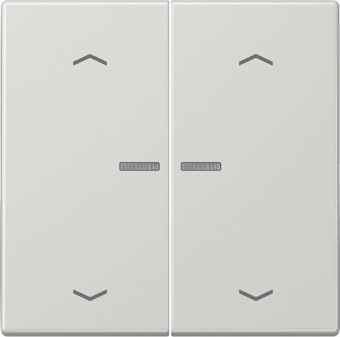 10 Stück Jung Wippe LS102KO5PLG