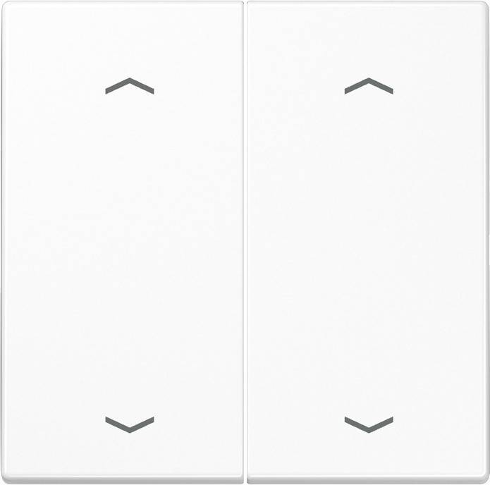 Jung Wippe Symbole aws LS 995 MP WW