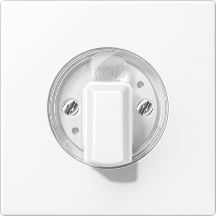 Jung Abdeckung LS1941WWM