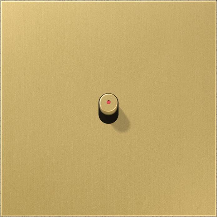 Jung Abdeckung 1-fach ME12-0KOCR25