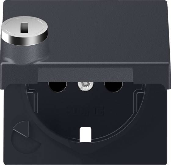 10 Stück Jung Abdeckung A1520KLSLPLANM