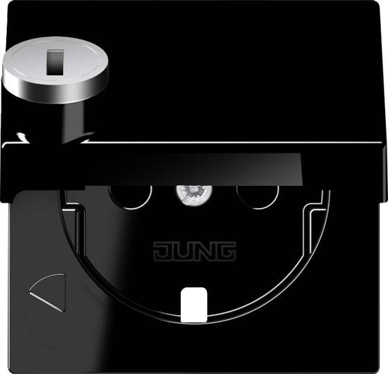 10 Stück Jung Abdeckung A1520KLSLPLSW