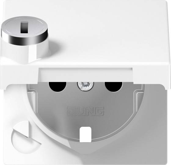 10 Stück Jung Abdeckung A1520KLSLPLWW