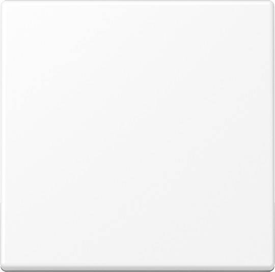 Jung Blind-Abdeckung A594-0PLWWM