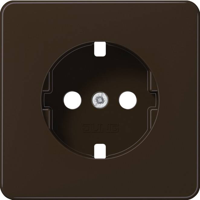 10 Stück Jung Platte CD1520BFPLBR