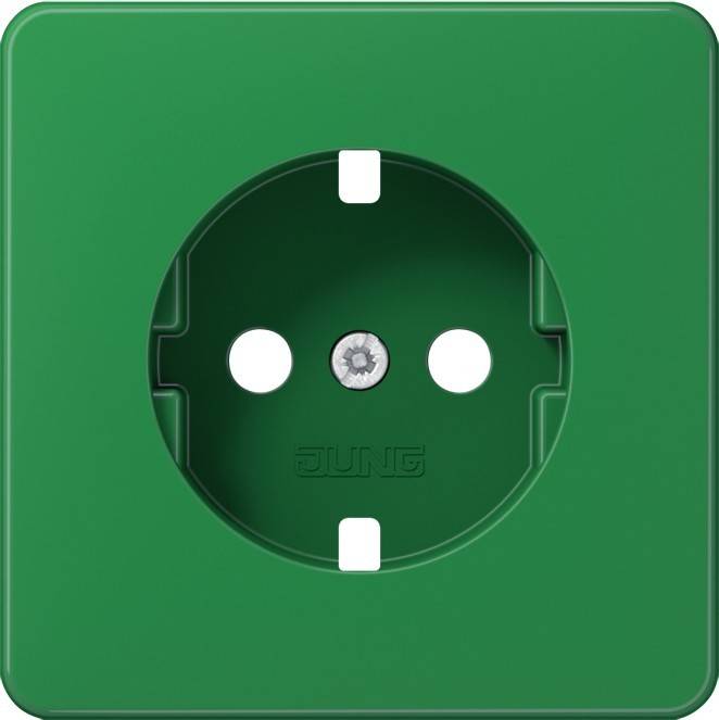 10 Stück Jung Platte CD1520BFPLGN