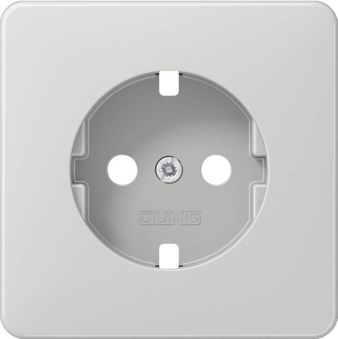 10 Stück Jung Platte CD1520BFPLLG