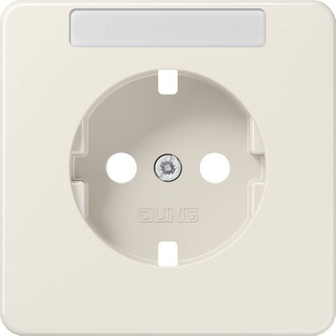 10 Stück Jung Platte CD1520NAPL