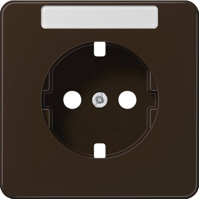 10 Stück Jung Platte CD1520NAPLBR