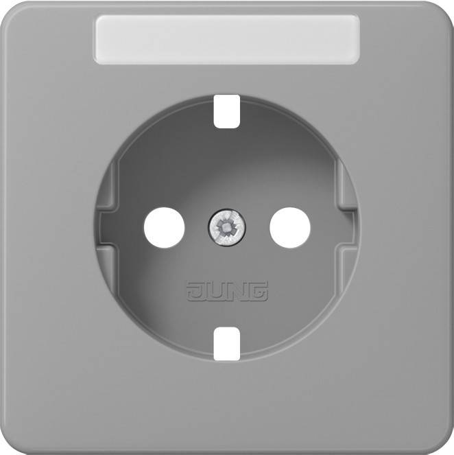 10 Stück Jung Platte CD1520NAPLGR