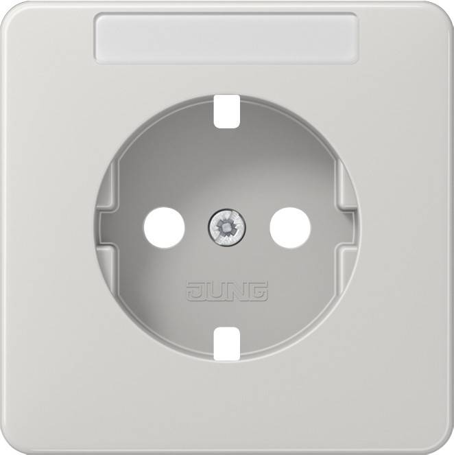 10 Stück Jung Platte CD1520NAPLLG