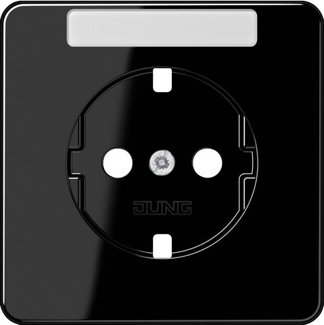 10 Stück Jung Platte CD1520NAPLSW