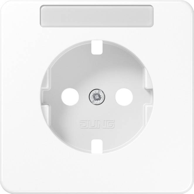 10 Stück Jung Zentralplatte CD1520NAPLWW