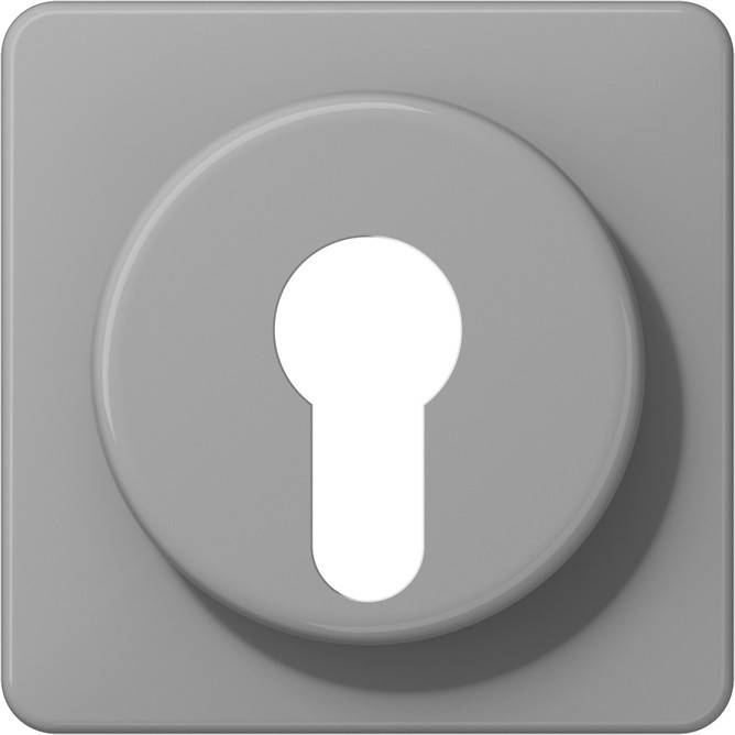 10 Stück Jung Abdeckung CD528GR-KB