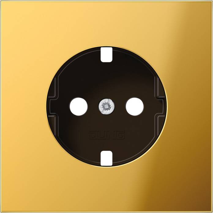 10 Stück Jung Platte GO1520PL