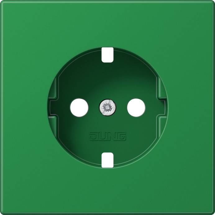 10 Stück Jung Platte LS1520BFPLGN