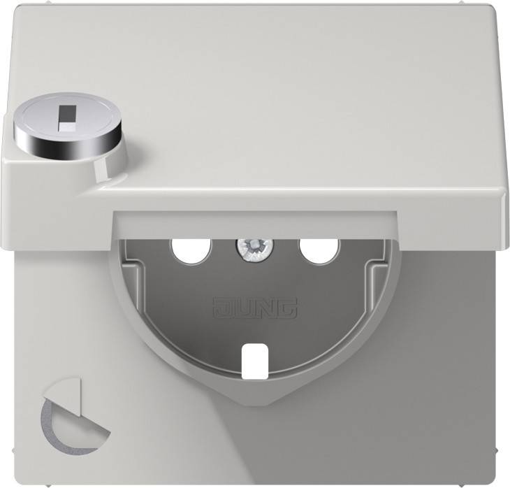 10 Stück Jung Klappdeckel LS1520KLSLPLLG