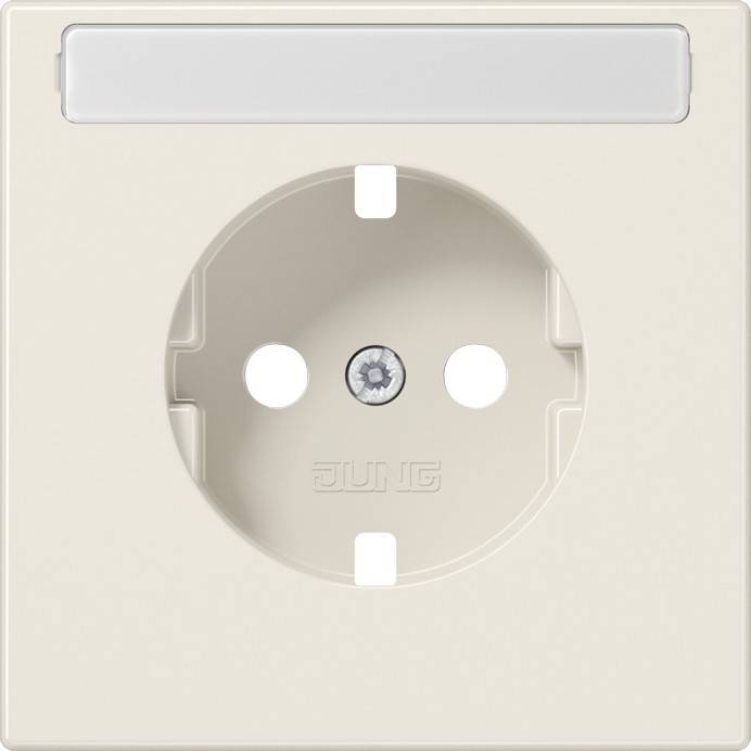 10 Stück Jung Platte LS1520NAPL