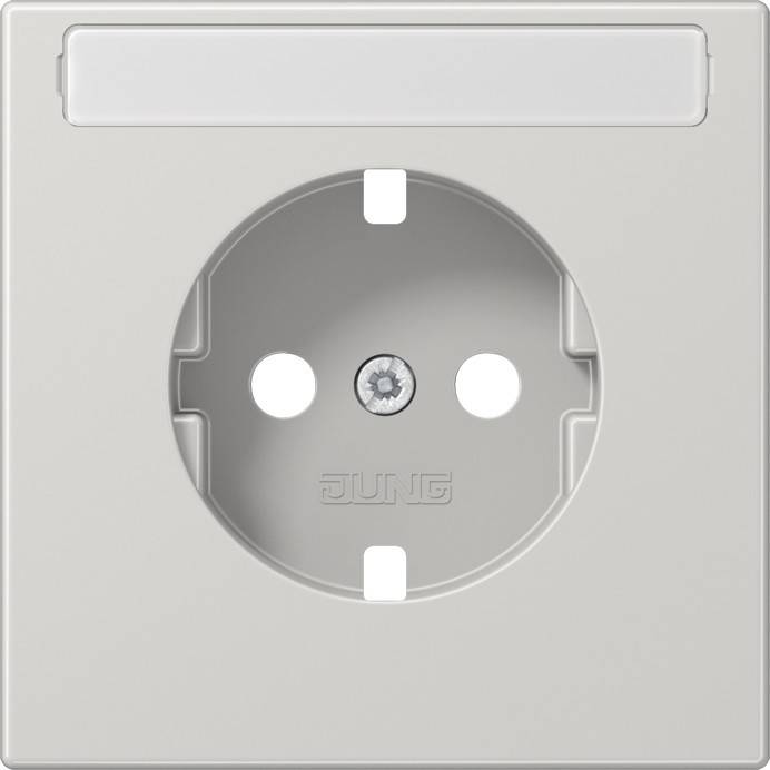 10 Stück Jung Platte LS1520NAPLLG