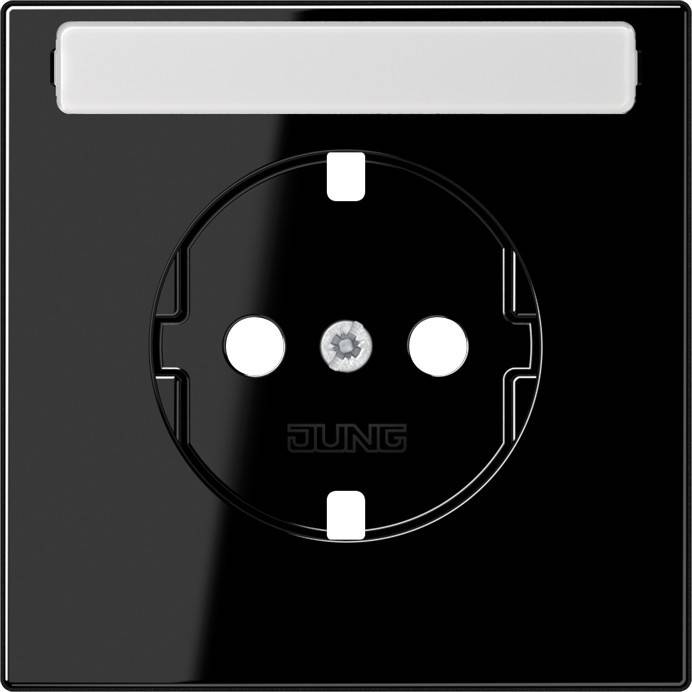10 Stück Jung Platte LS1520NAPLSW
