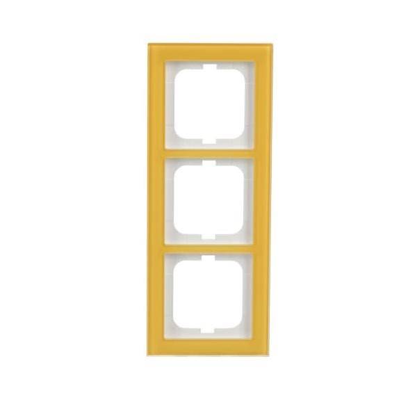 Busch-Jaeger Abdeckrahmen 1723-225