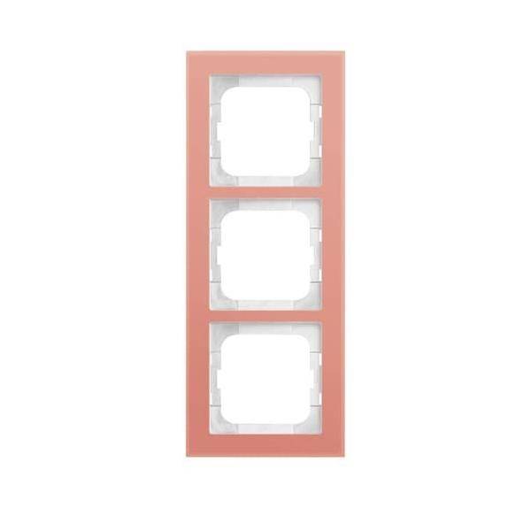 Busch-Jaeger Abdeckrahmen 1723-227