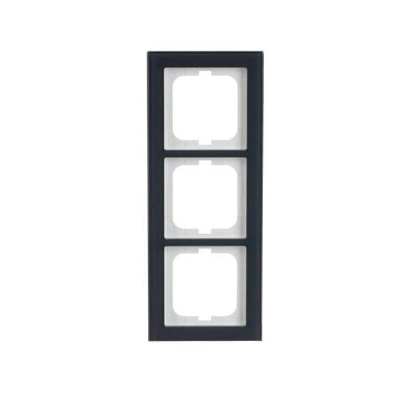 Busch-Jaeger Abdeckrahmen 1723-229