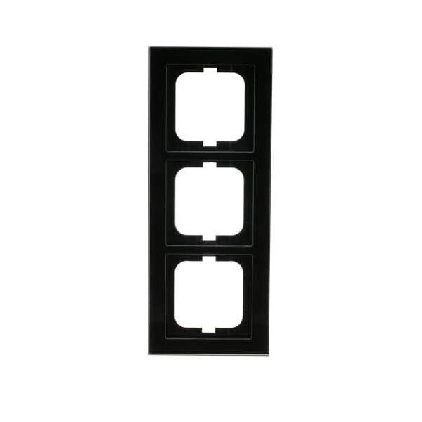 Busch-Jaeger Abdeckrahmen 1723-245